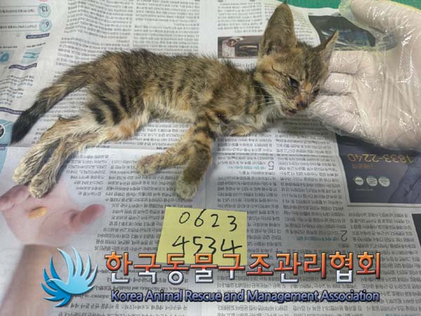한국동물구조관리협회_411305202400399